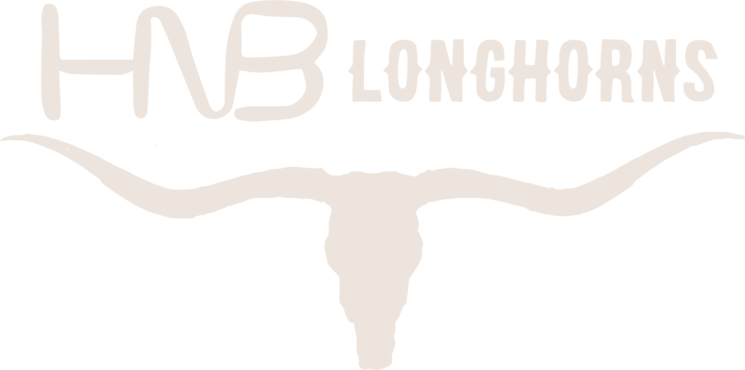 HNB Longhorns